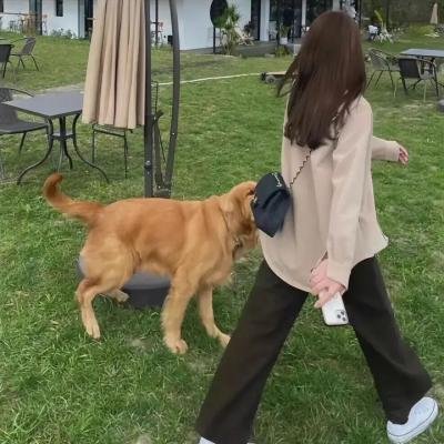 与狼共谋